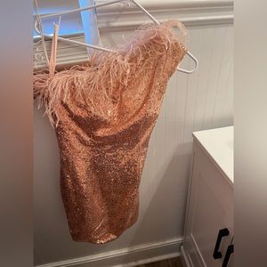 pink champagne formal dress worn once
